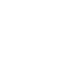 LinkedIn Icon