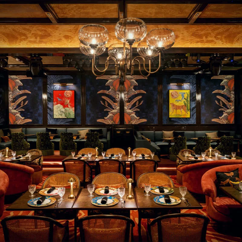 North Nights Redefined: Step Into the Quezon Club